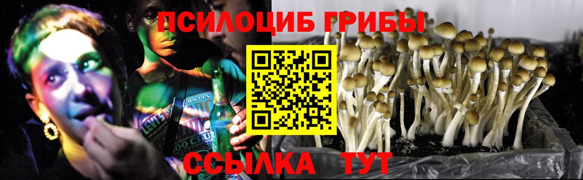 Псилоцибиновые грибы MAGIC MUSHROOMS  Вход с VPN  Псилоцибиновые грибы ЛСД  где можно купить наркотик  Кизляр 
